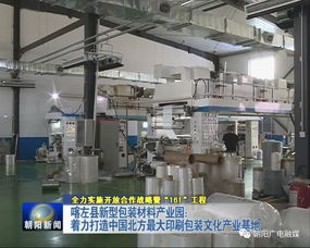 年產值20億元包裝產業園崛起，26家包裝印刷廠共筑產業新高地